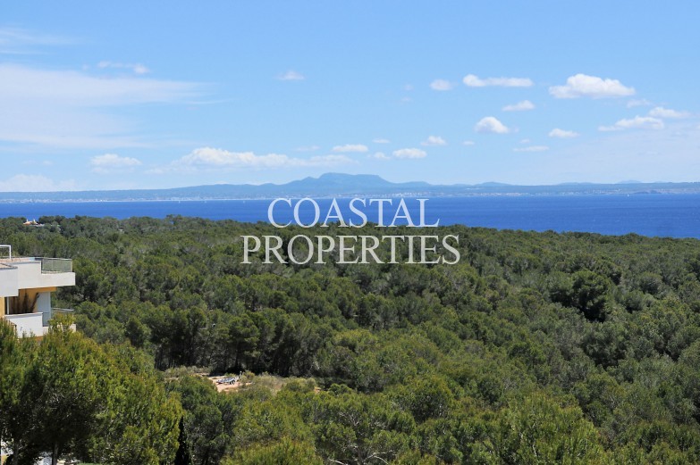 Property to Rent in Sol De Mallorca, Penthouse With Large Roof Terrace For Rent  Sol De Mallorca, Mallorca, Spain