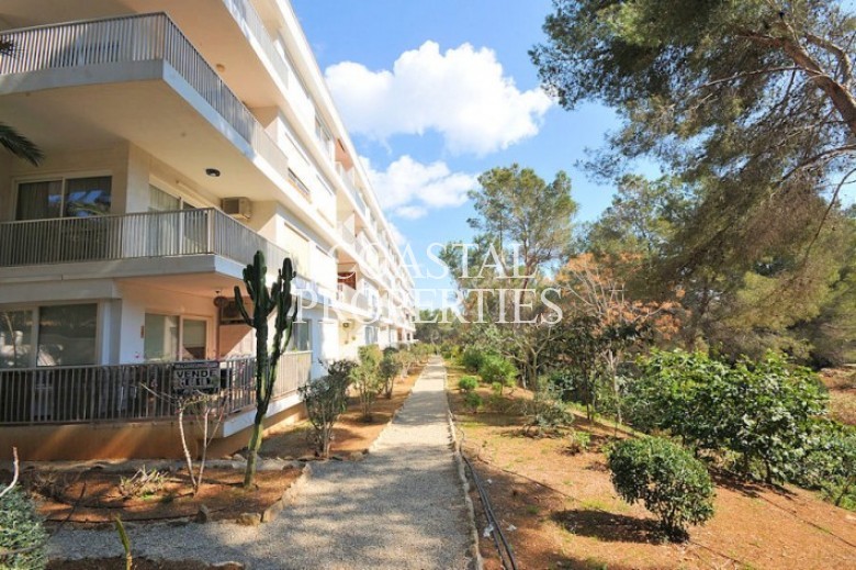 Property for Sale in Sol De Mallorca, One Bedroom Apartment For Sale In Sol  Sol De Mallorca, Mallorca, Spain